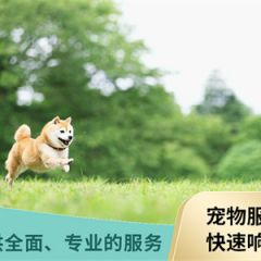 宠物寄养