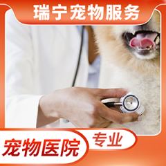 宠物看病